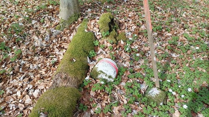 grenzwanderun