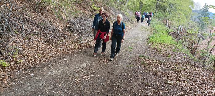braunkohlewanderung