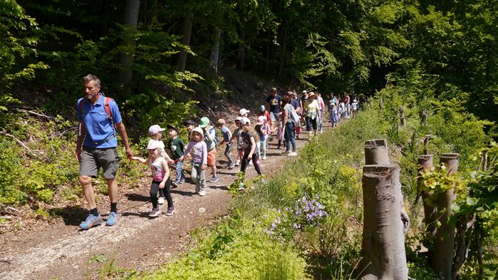 tag-des-wanderns