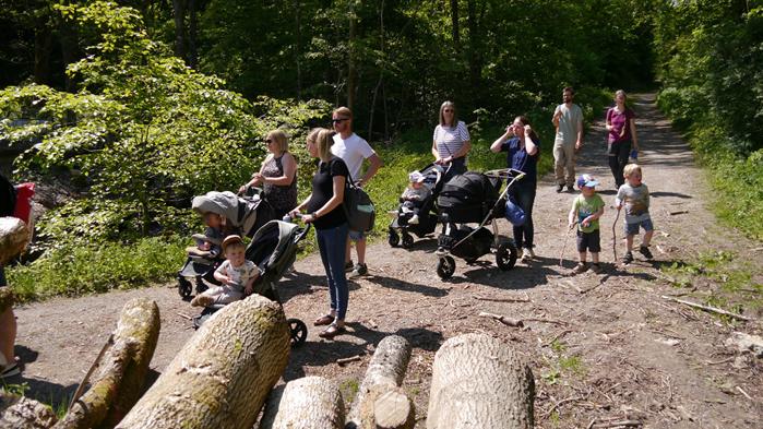 tag-des-wanderns
