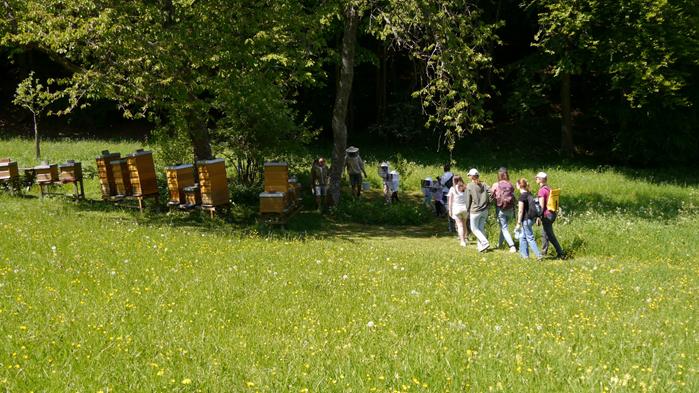 tag-des-wanderns