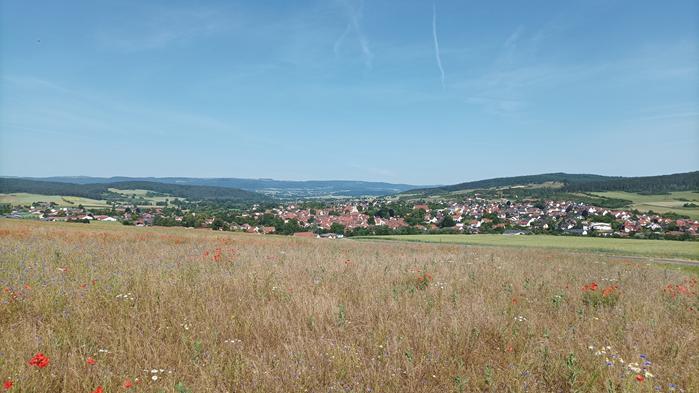 sternwanderung