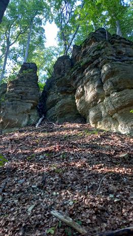 wandertag-dermbach