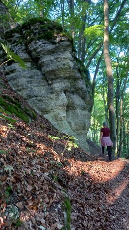 wandertag-dermbach