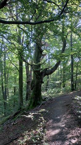 wandertag-dermbach