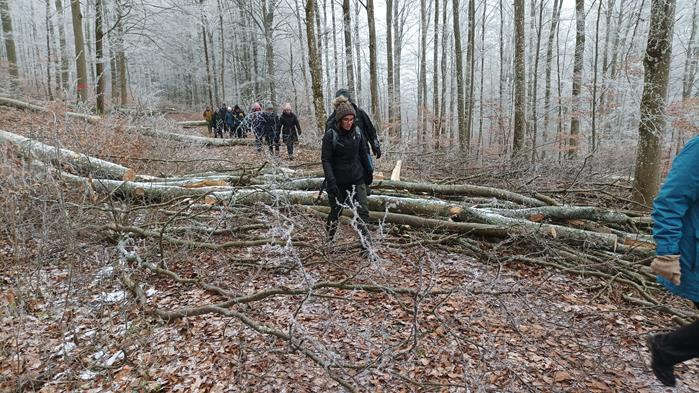 jahresabschlusswanderung