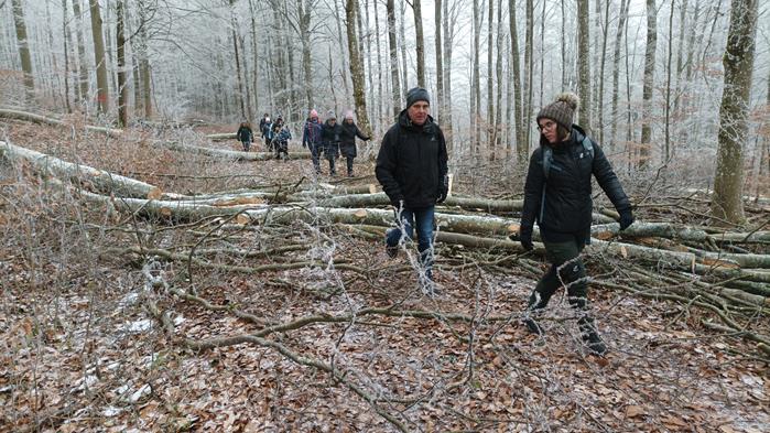 jahresabschlusswanderung