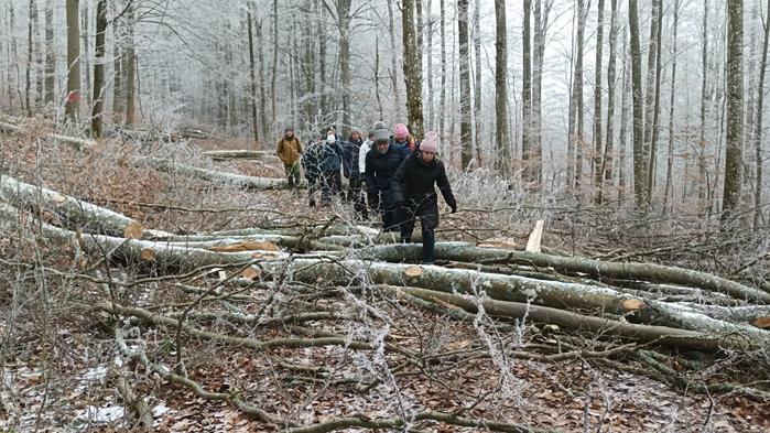 jahresabschlusswanderung