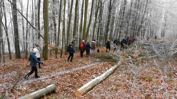 jahresabschlusswanderung